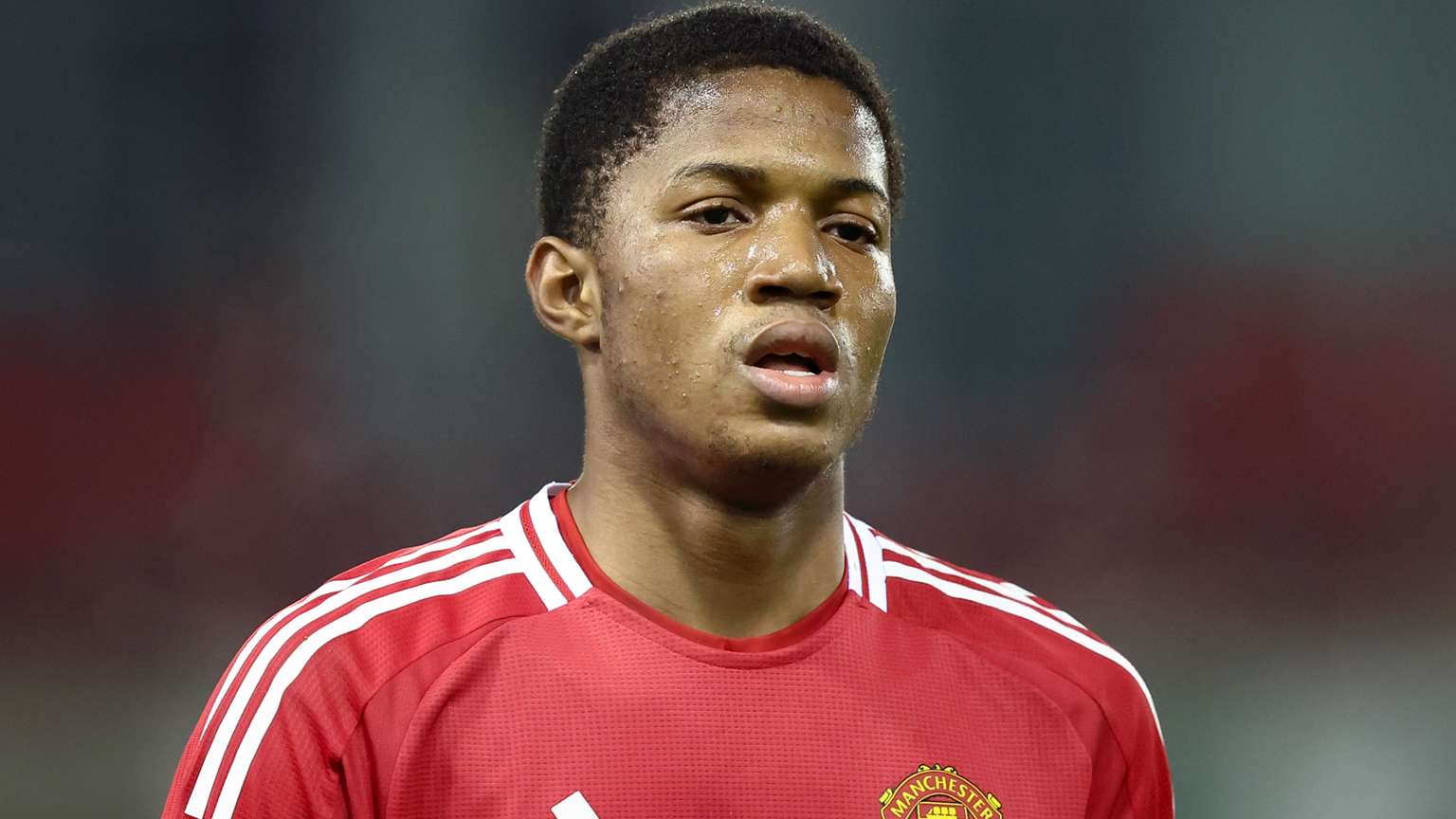 德的文化氛 德的文化氛