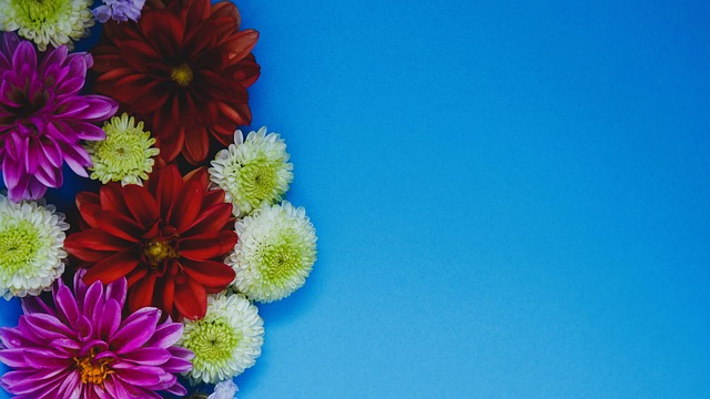 还在关键时 还在关键时