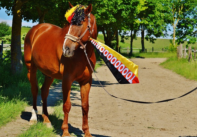 尽管降级可 尽管降级可